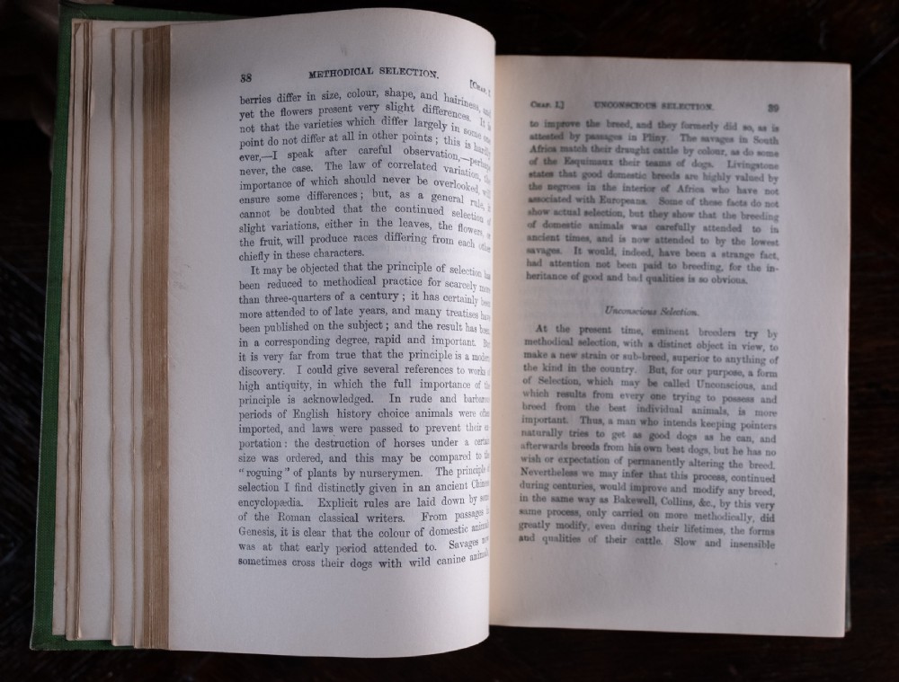 A green cloth-bound antique book standing vertically with gold embossed title lettering on the spine. View XIII