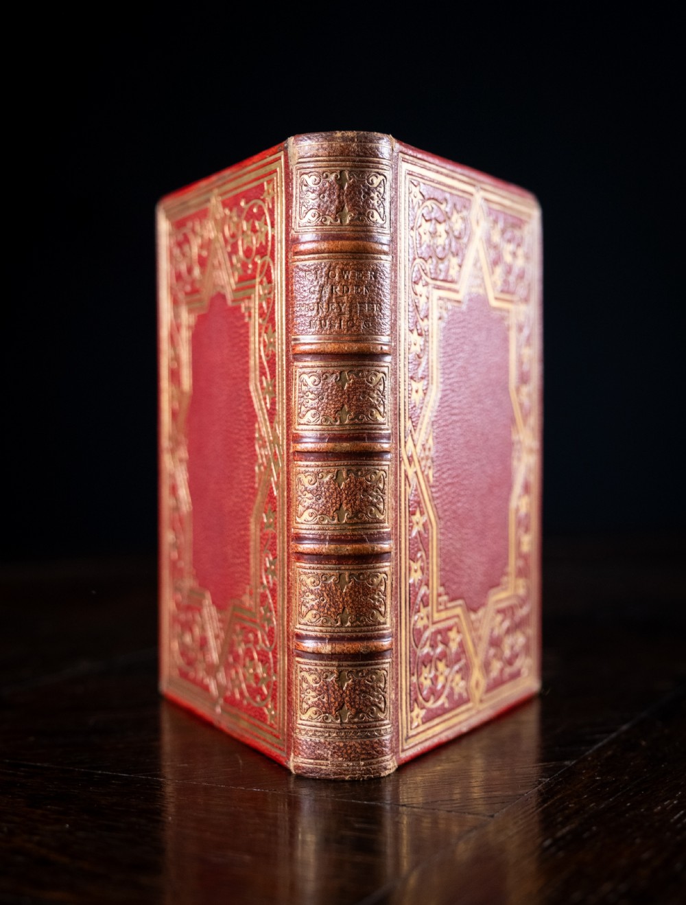 A Victorian red leather-bound book featuring detailed gold leaf tooling on the spine and covers standing upright.