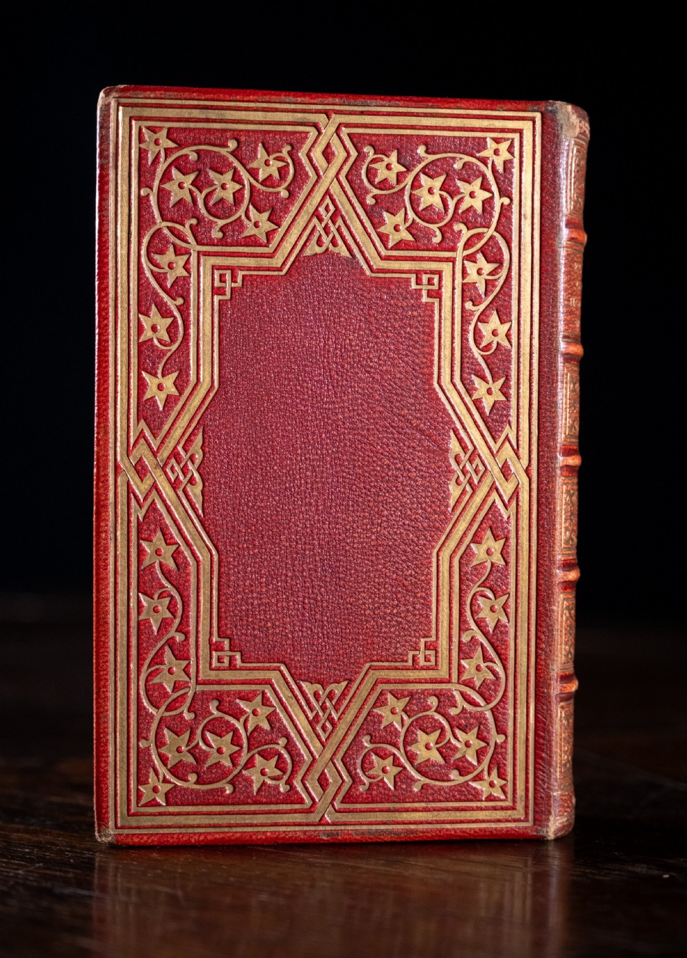A Victorian red leather-bound book featuring detailed gold leaf tooling on the spine and covers standing upright. View IV
