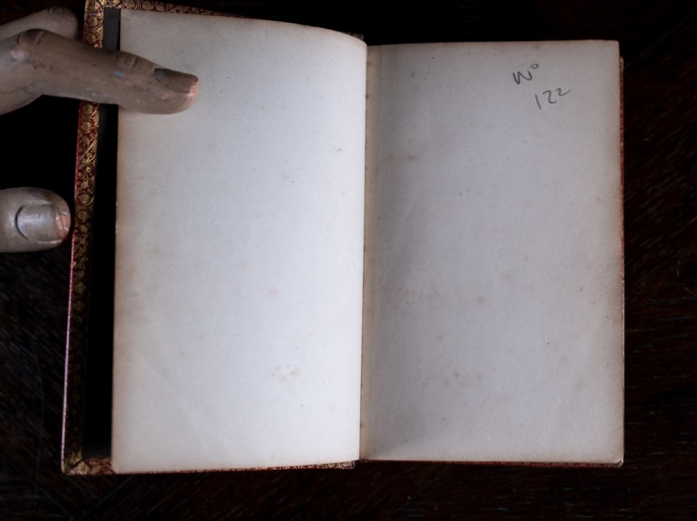 A Victorian red leather-bound book featuring detailed gold leaf tooling on the spine and covers standing upright. View VII