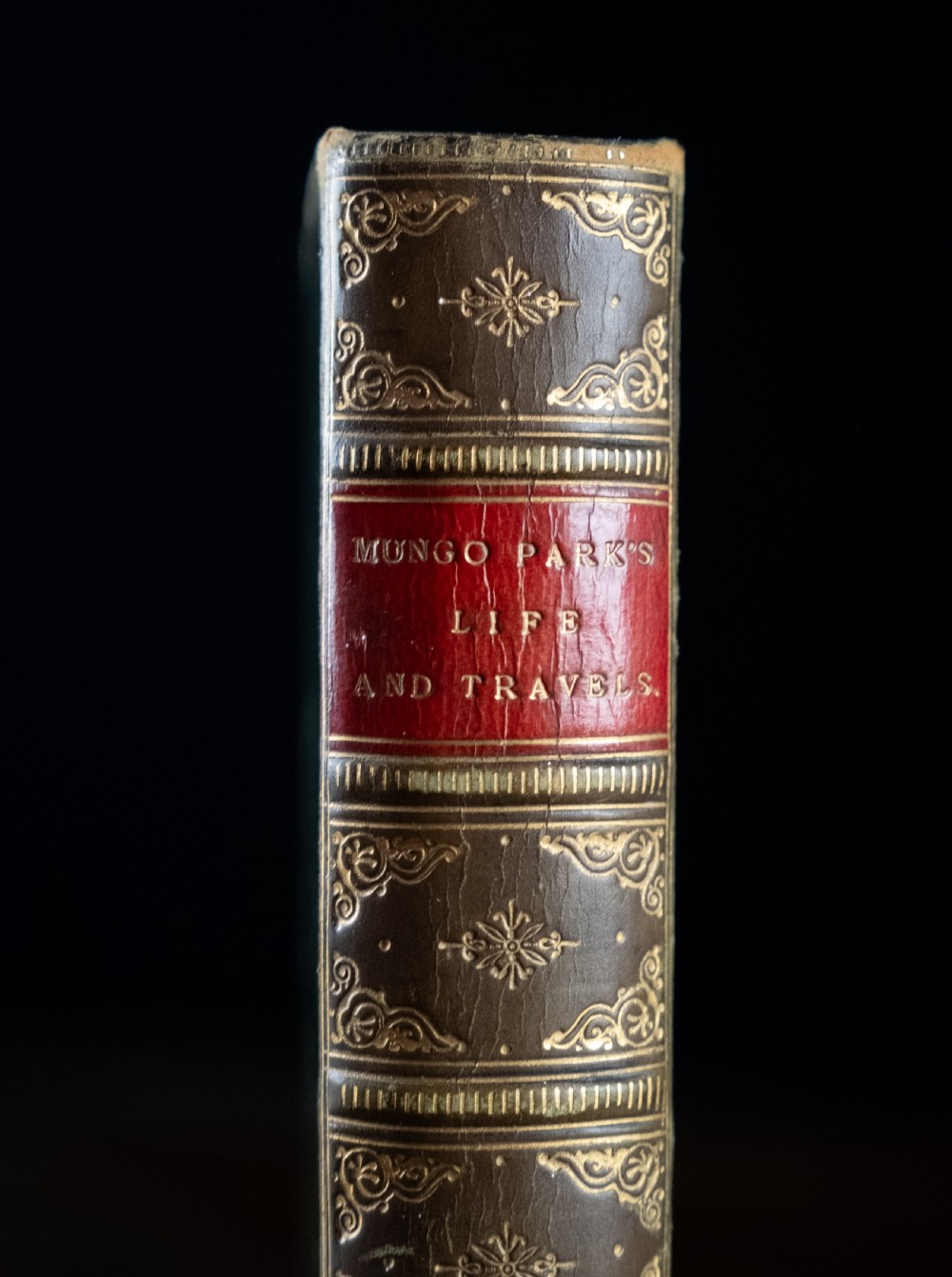 A Victorian leather-bound book standing upright, featuring green boards with a gilt crest and a brown leather spine decorated with gold tooling. View II