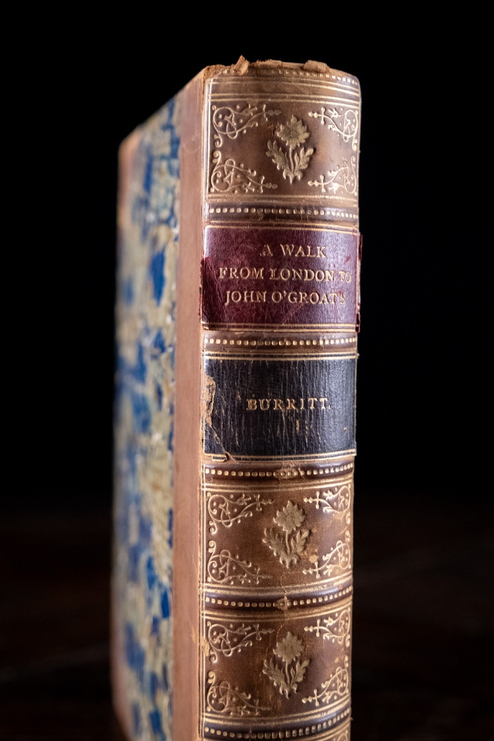 An 1864 half leather bound book featuring a brown gold-tooled spine with raised bands and blue marbled paper boards. View II