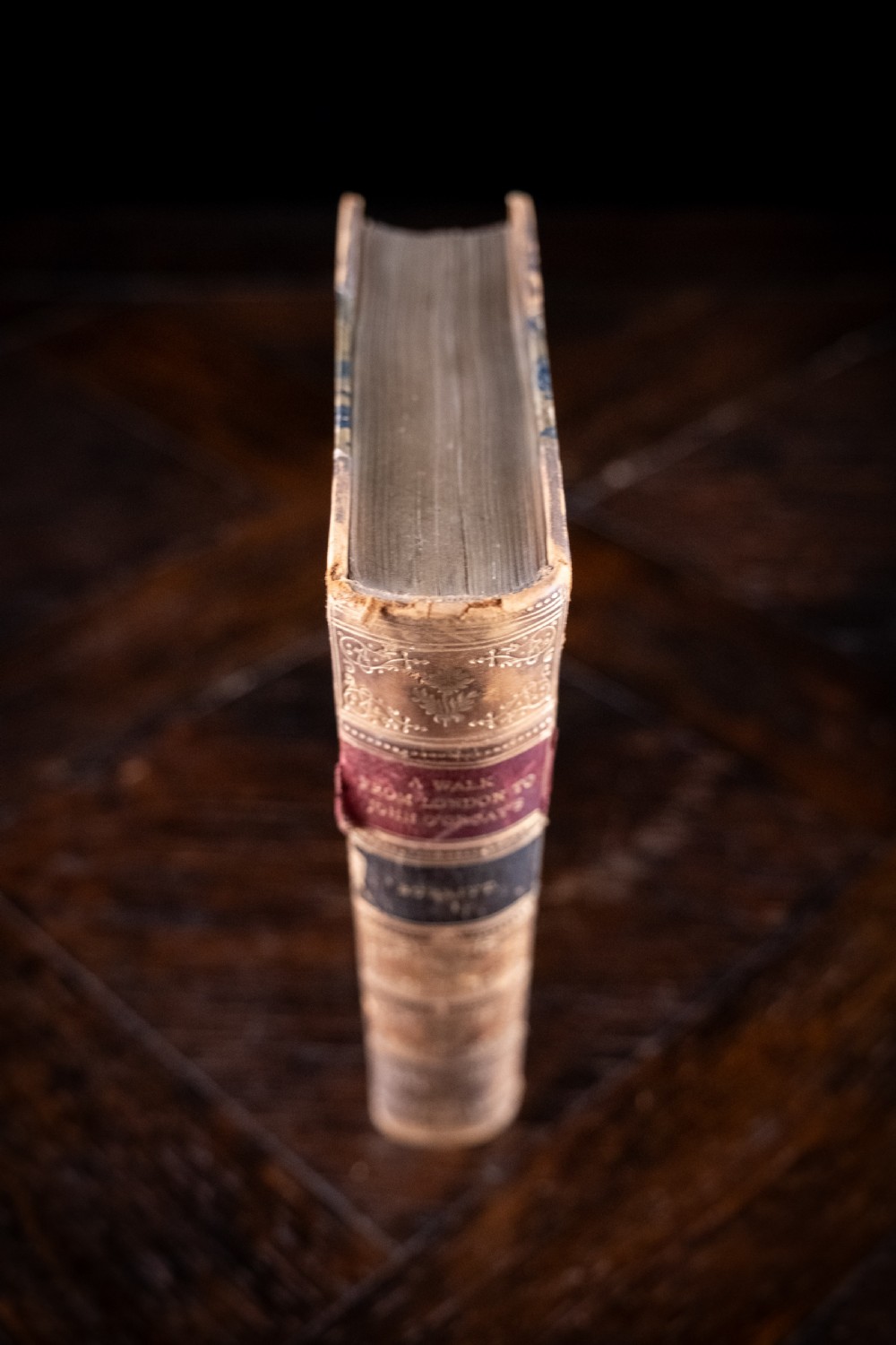 An 1864 half leather bound book featuring a brown gold-tooled spine with raised bands and blue marbled paper boards. View VI