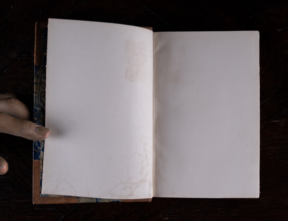 An 1864 half leather bound book featuring a brown gold-tooled spine with raised bands and blue marbled paper boards. View VIII