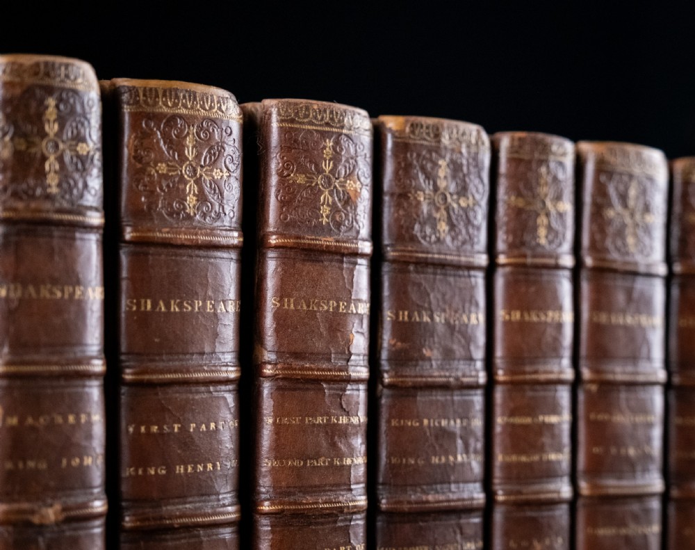 A complete twelve-volume set of brown leather-bound books printed in 1807 with gold-tooled decorative spines. View VI