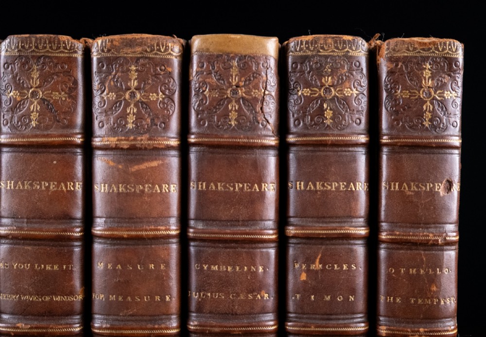 A complete twelve-volume set of brown leather-bound books printed in 1807 with gold-tooled decorative spines. View VII
