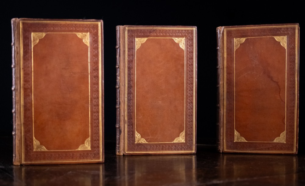 A complete twelve-volume set of brown leather-bound books printed in 1807 with gold-tooled decorative spines. View IX