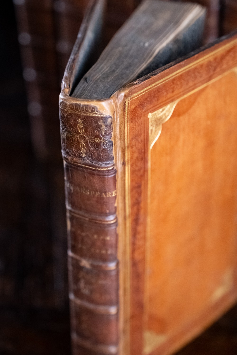 A complete twelve-volume set of brown leather-bound books printed in 1807 with gold-tooled decorative spines. View XIII