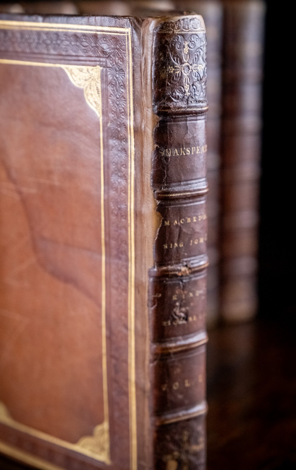 A complete twelve-volume set of brown leather-bound books printed in 1807 with gold-tooled decorative spines. View XIV