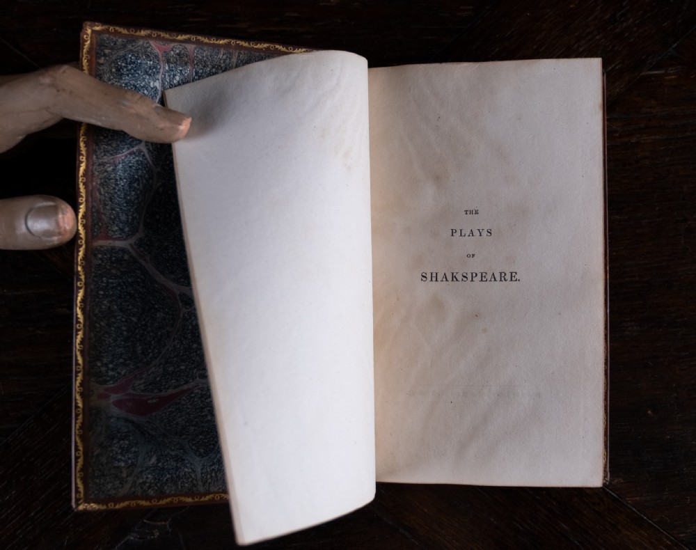 A complete twelve-volume set of brown leather-bound books printed in 1807 with gold-tooled decorative spines. View XVI