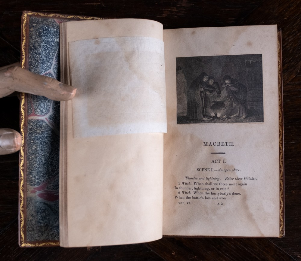 A complete twelve-volume set of brown leather-bound books printed in 1807 with gold-tooled decorative spines. View XXI
