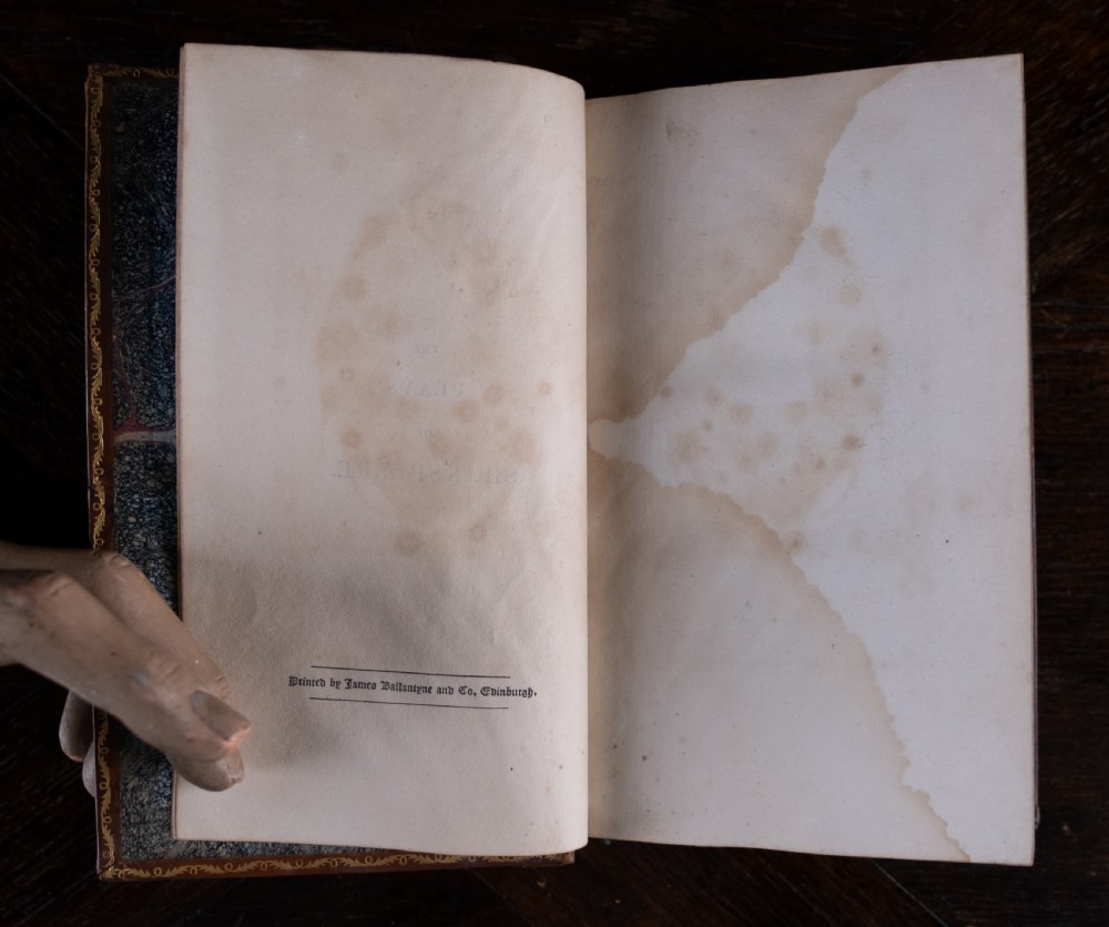 A complete twelve-volume set of brown leather-bound books printed in 1807 with gold-tooled decorative spines. View XXIV