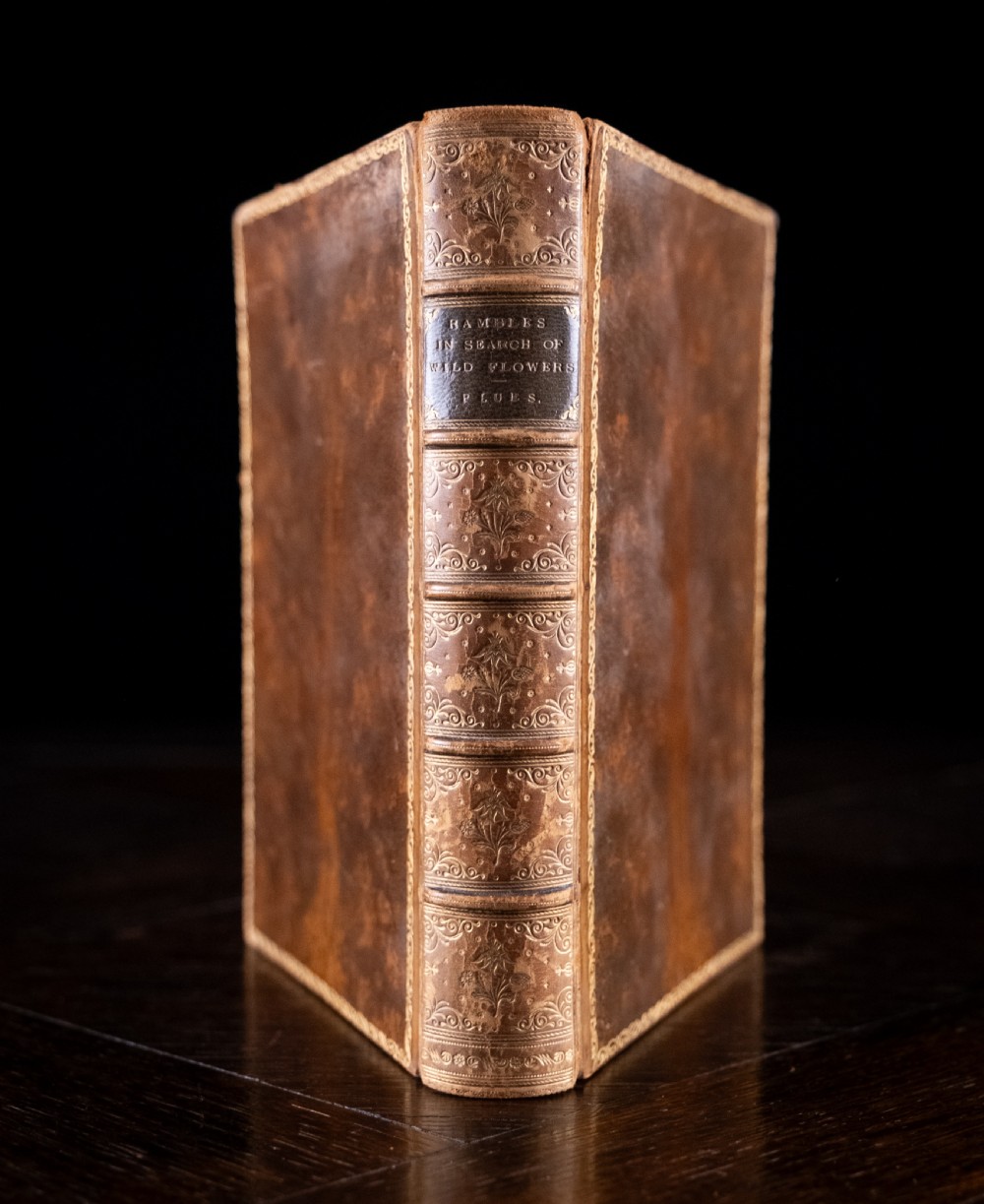 An 1879 leather-bound book standing upright, featuring a brown mottled cover and an ornate gilt-tooled spine with a dark title label reading Rambles In Search Of Wild Flowers.