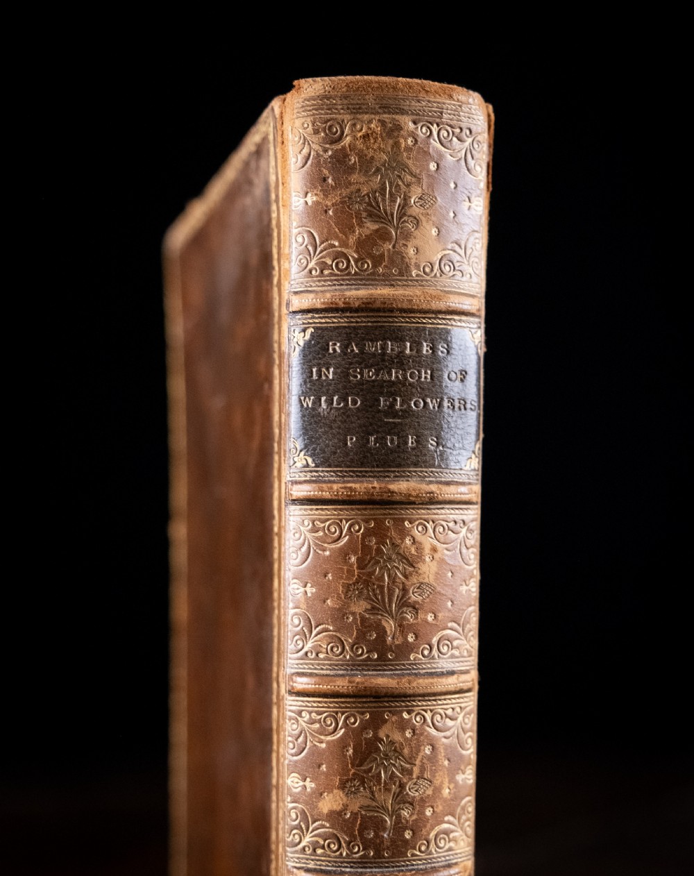 An 1879 leather-bound book standing upright, featuring a brown mottled cover and an ornate gilt-tooled spine with a dark title label reading Rambles In Search Of Wild Flowers. View II