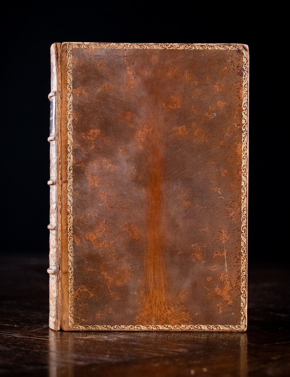 An 1879 leather-bound book standing upright, featuring a brown mottled cover and an ornate gilt-tooled spine with a dark title label reading Rambles In Search Of Wild Flowers. View III