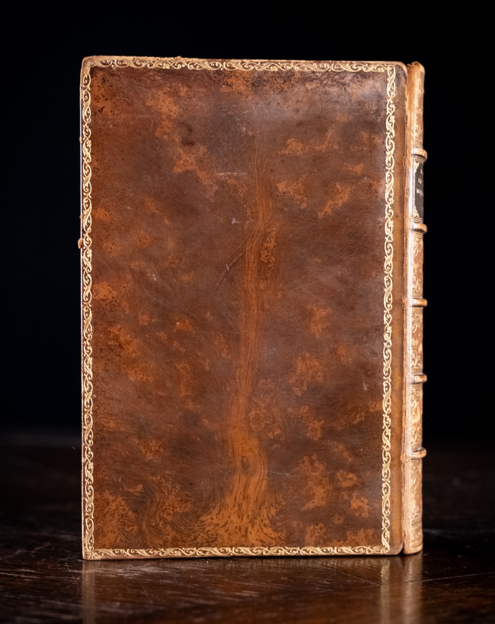 An 1879 leather-bound book standing upright, featuring a brown mottled cover and an ornate gilt-tooled spine with a dark title label reading Rambles In Search Of Wild Flowers. View IV