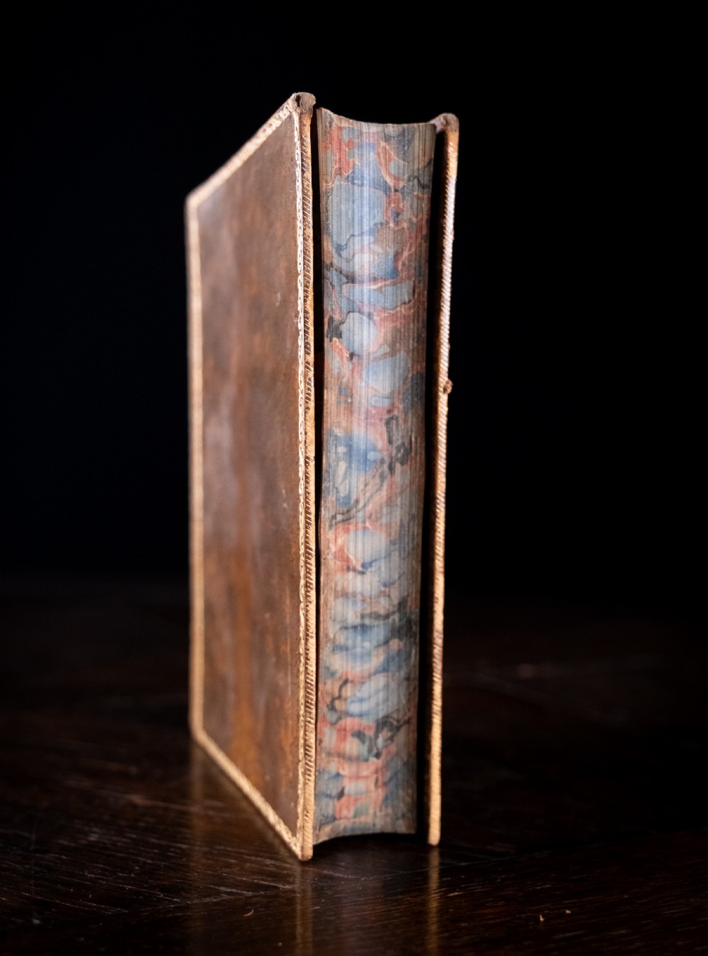 An 1879 leather-bound book standing upright, featuring a brown mottled cover and an ornate gilt-tooled spine with a dark title label reading Rambles In Search Of Wild Flowers. View VI
