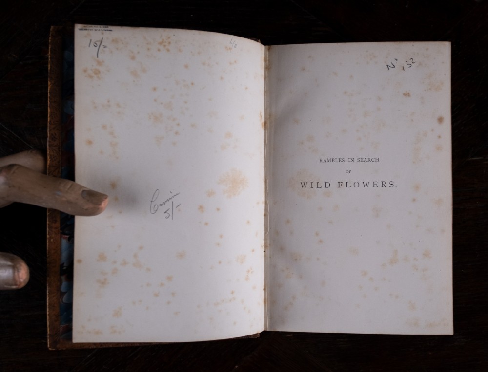 An 1879 leather-bound book standing upright, featuring a brown mottled cover and an ornate gilt-tooled spine with a dark title label reading Rambles In Search Of Wild Flowers. View VIII