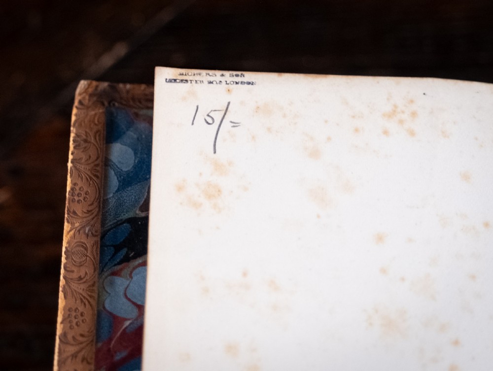 An 1879 leather-bound book standing upright, featuring a brown mottled cover and an ornate gilt-tooled spine with a dark title label reading Rambles In Search Of Wild Flowers. View IX