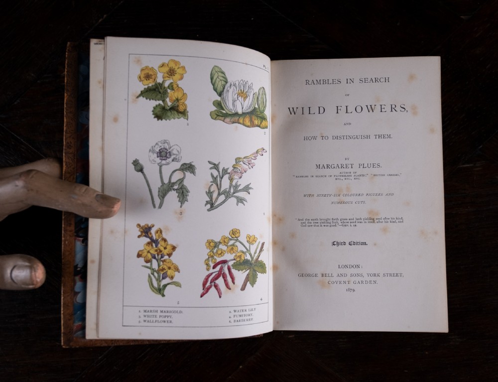An 1879 leather-bound book standing upright, featuring a brown mottled cover and an ornate gilt-tooled spine with a dark title label reading Rambles In Search Of Wild Flowers. View X