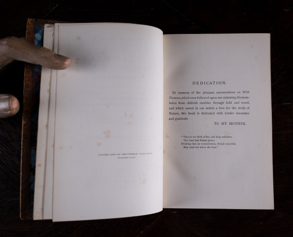An 1879 leather-bound book standing upright, featuring a brown mottled cover and an ornate gilt-tooled spine with a dark title label reading Rambles In Search Of Wild Flowers. View XI