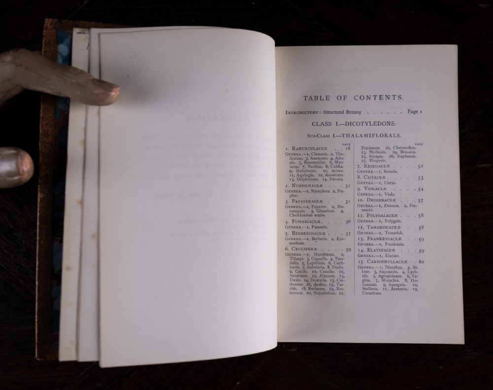 An 1879 leather-bound book standing upright, featuring a brown mottled cover and an ornate gilt-tooled spine with a dark title label reading Rambles In Search Of Wild Flowers. View XII