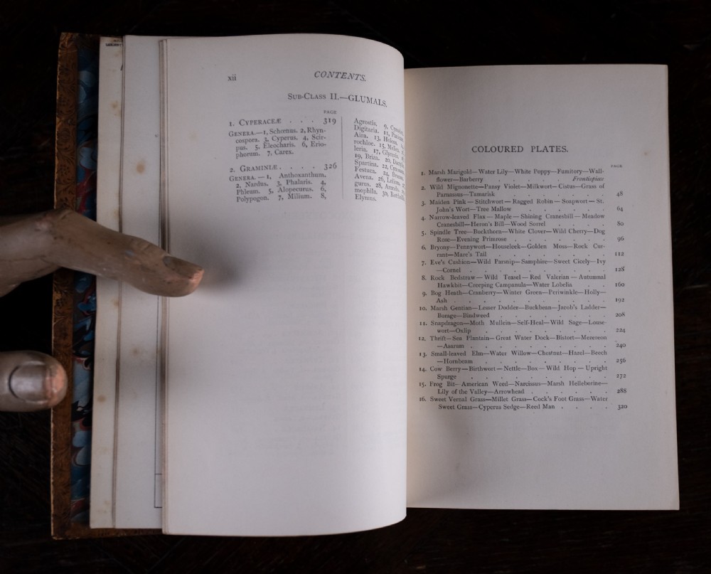 An 1879 leather-bound book standing upright, featuring a brown mottled cover and an ornate gilt-tooled spine with a dark title label reading Rambles In Search Of Wild Flowers. View XIII