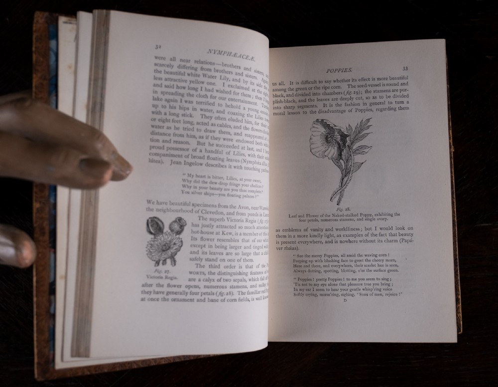 An 1879 leather-bound book standing upright, featuring a brown mottled cover and an ornate gilt-tooled spine with a dark title label reading Rambles In Search Of Wild Flowers. View XV