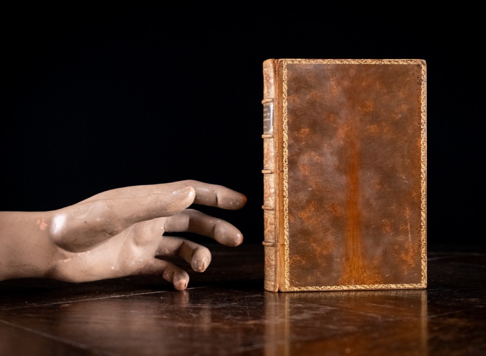 An 1879 leather-bound book standing upright, featuring a brown mottled cover and an ornate gilt-tooled spine with a dark title label reading Rambles In Search Of Wild Flowers. View XVI