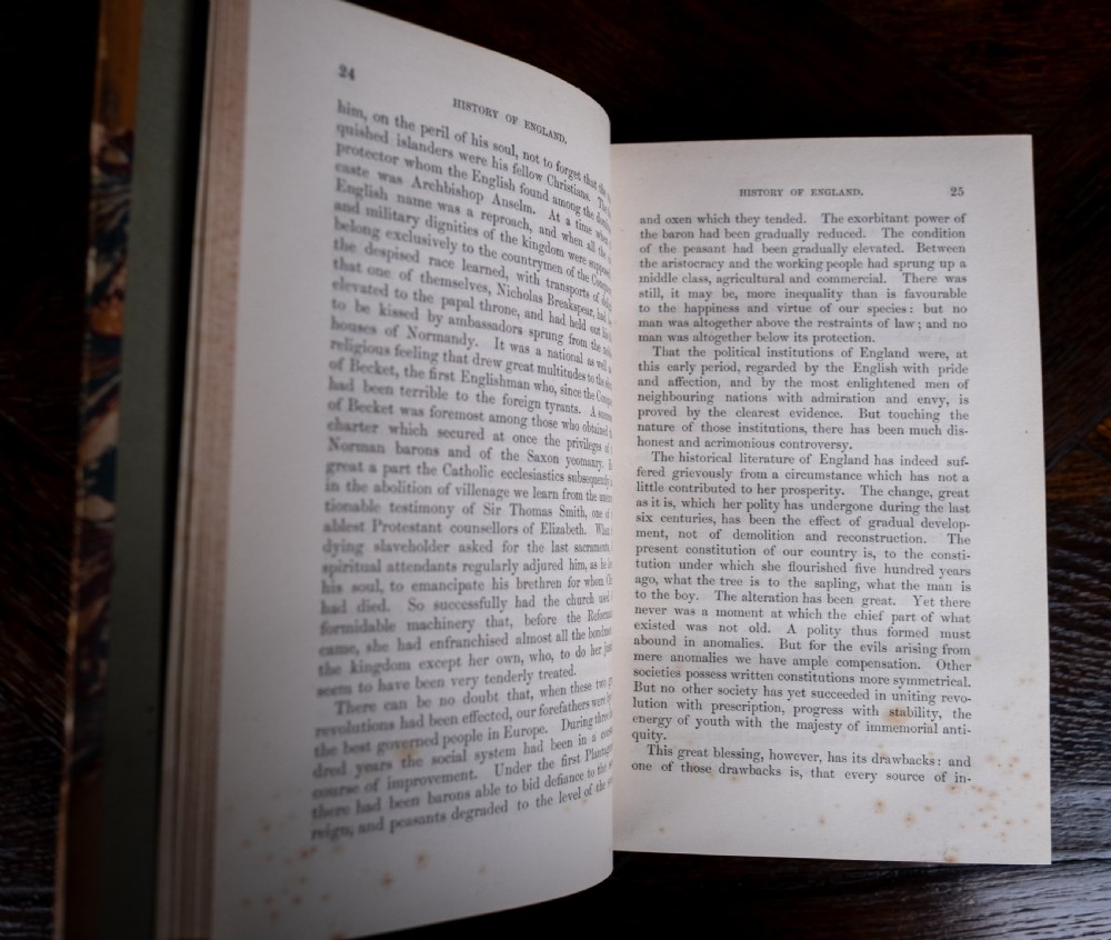 A five-volume set of Victorian leather-bound books with tan calfskin spines, gilt tooling, and contrasting red and navy spine labels standing vertically. View XIII