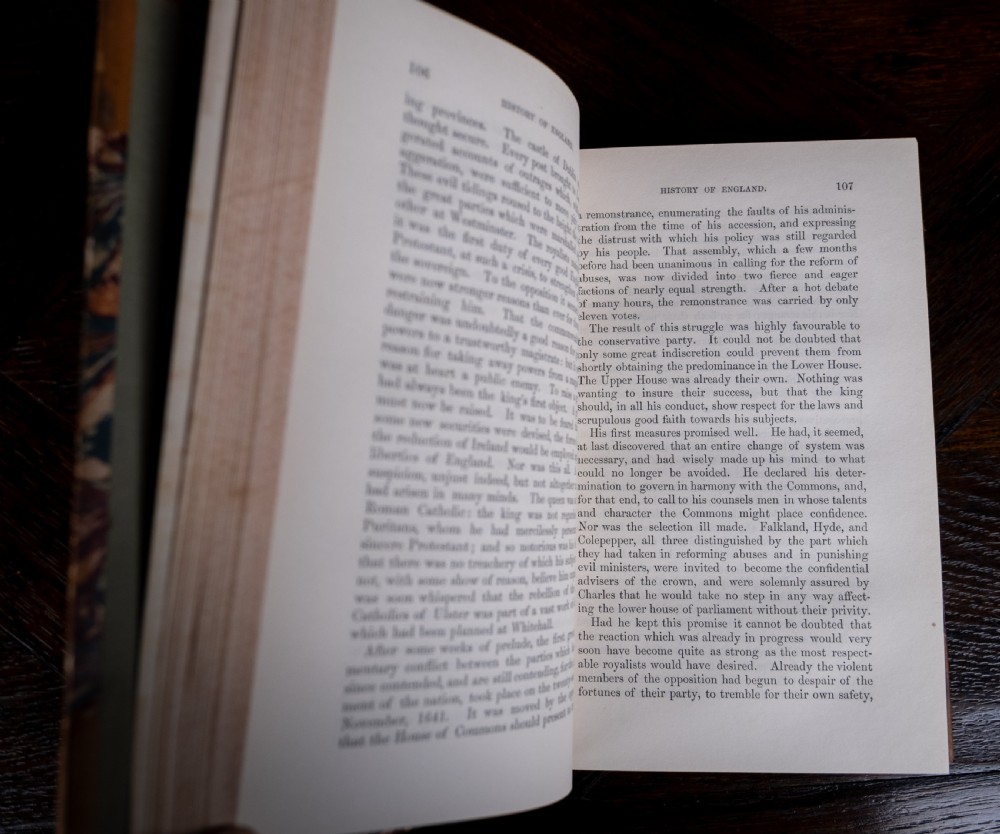 A five-volume set of Victorian leather-bound books with tan calfskin spines, gilt tooling, and contrasting red and navy spine labels standing vertically. View XIV