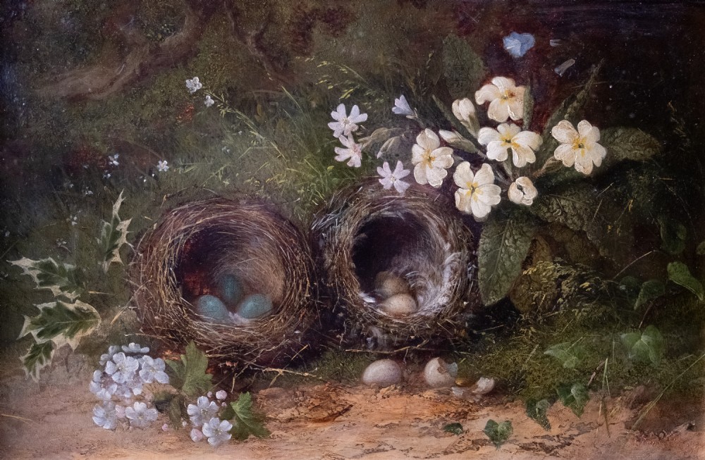 Still Life of Bird Nests and Primroses - Oil On Board. View II