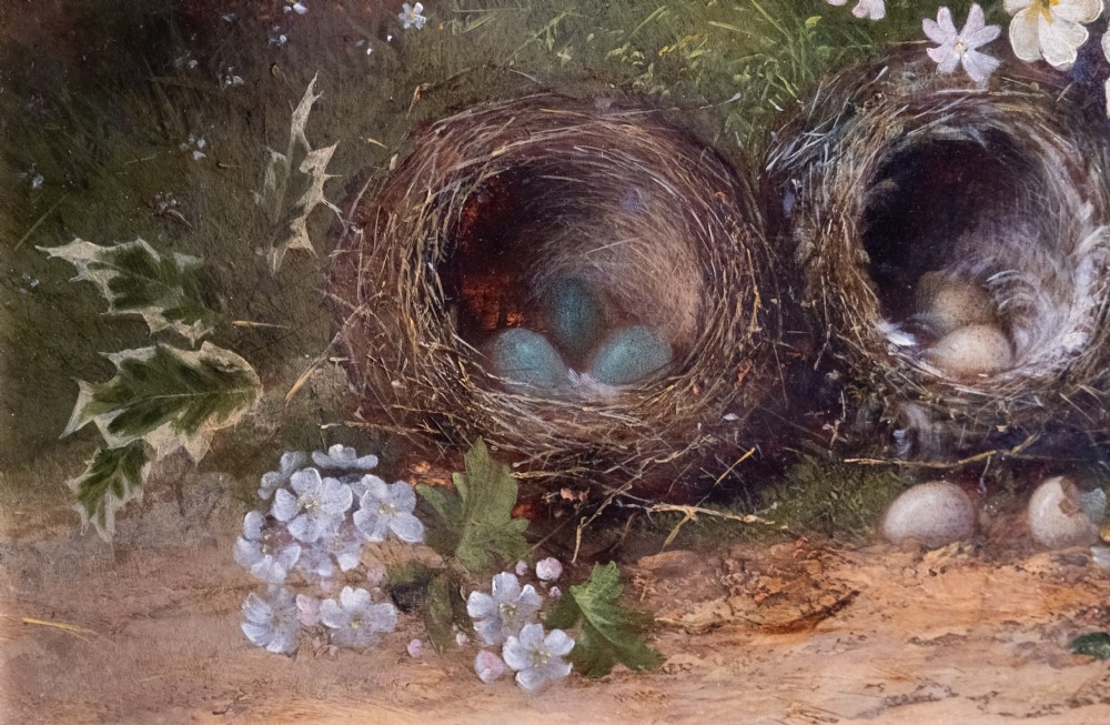 Still Life of Bird Nests and Primroses - Oil On Board. View III