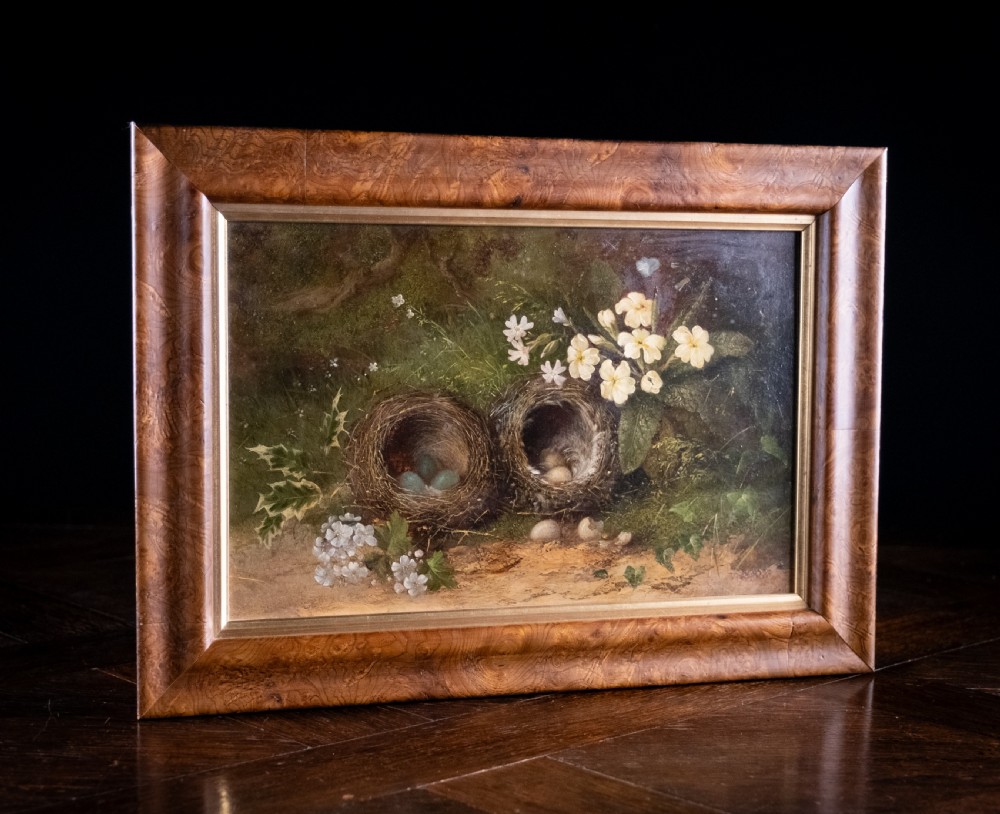Still Life of Bird Nests and Primroses - Oil On Board. View V