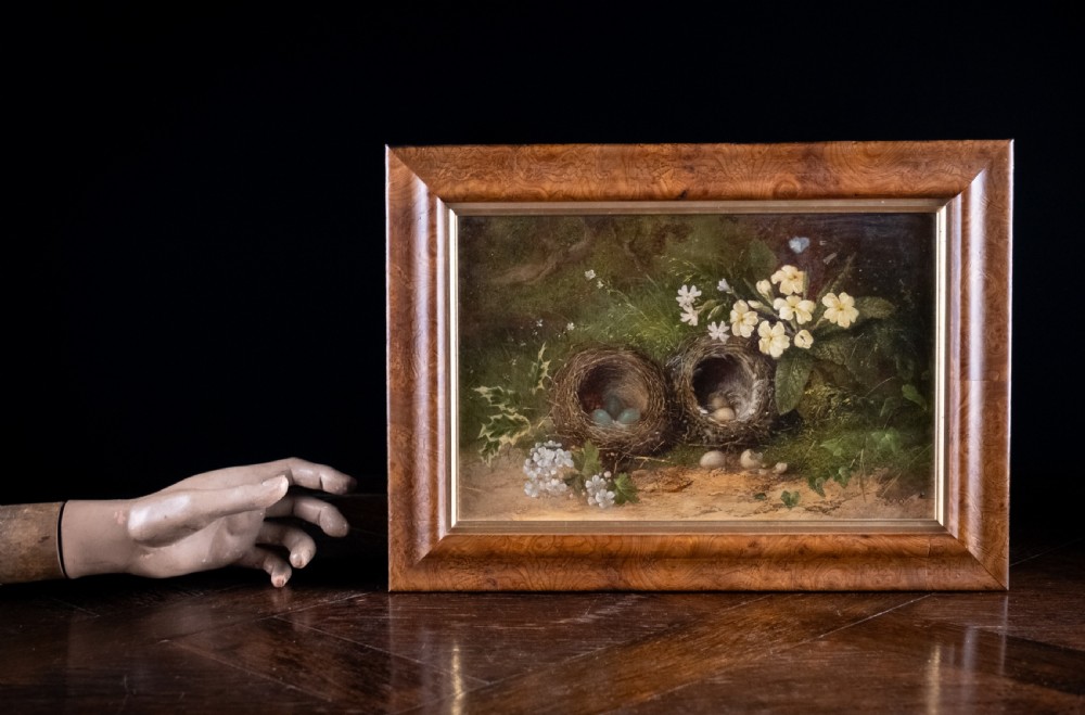 Still Life of Bird Nests and Primroses - Oil On Board. View IX