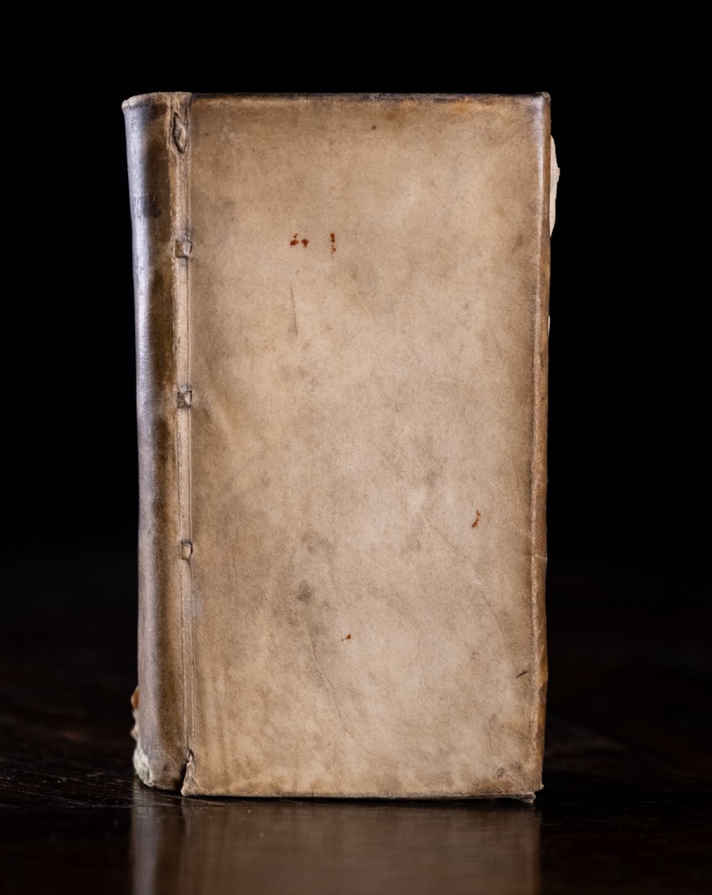 A 17th-century vellum-bound book standing upright with handwritten Latin text on the spine. View II