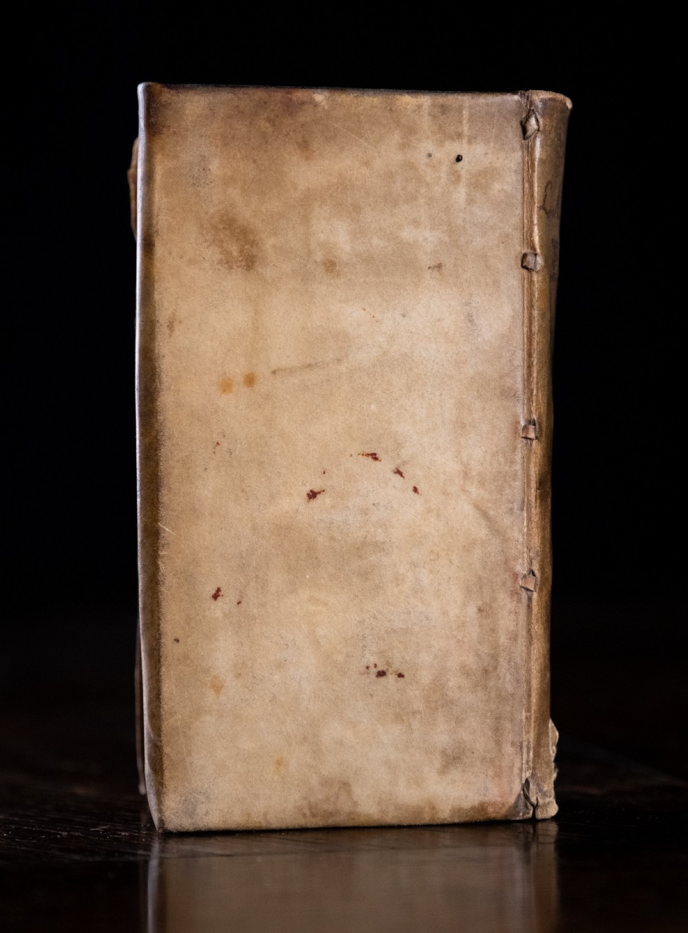 A 17th-century vellum-bound book standing upright with handwritten Latin text on the spine. View III
