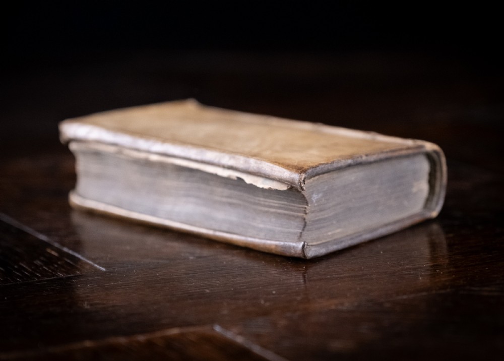 A 17th-century vellum-bound book standing upright with handwritten Latin text on the spine. View IV