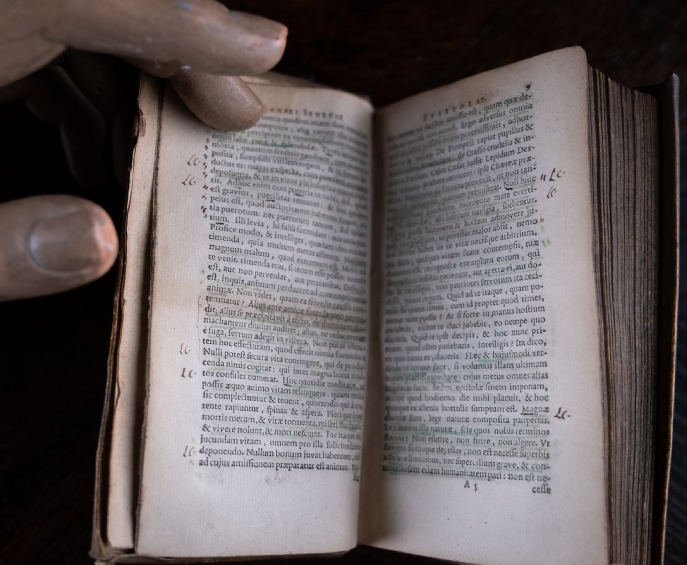 A 17th-century vellum-bound book standing upright with handwritten Latin text on the spine. View VII