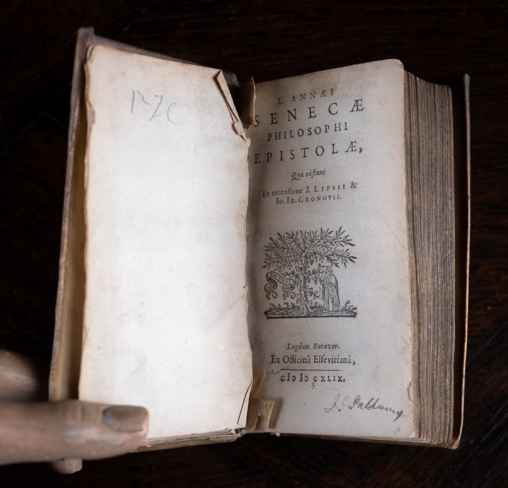 A 17th-century vellum-bound book standing upright with handwritten Latin text on the spine. View VIII