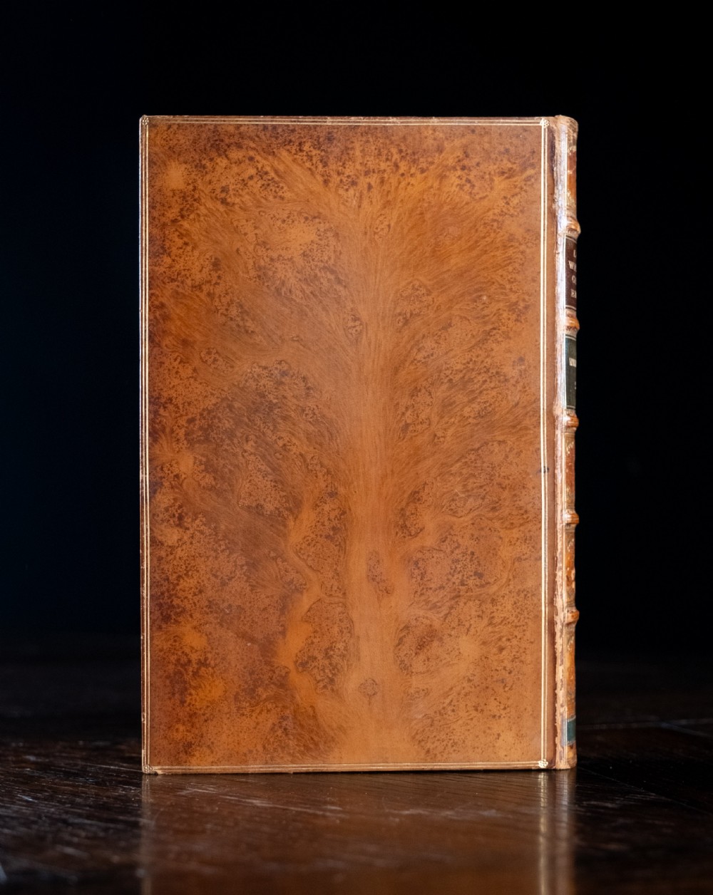 A 1904 leather-bound book titled Life of William the Second German Emperor standing vertically with gilt detailing on the spine. View III