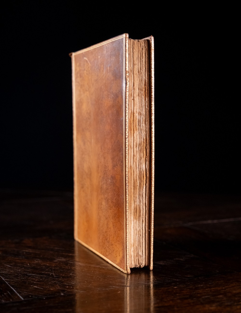 A 1904 leather-bound book titled Life of William the Second German Emperor standing vertically with gilt detailing on the spine. View V