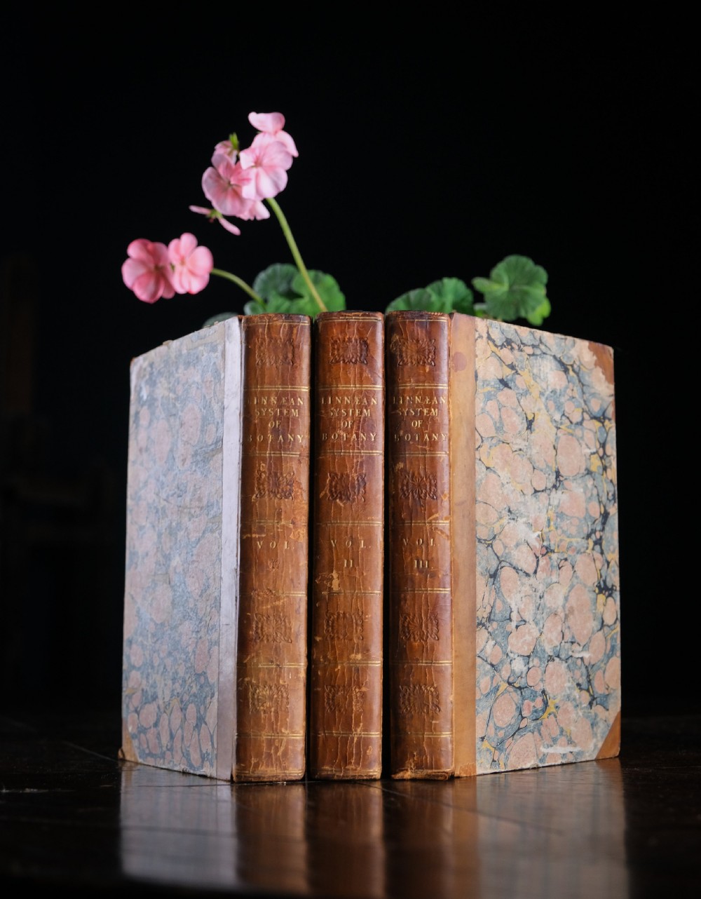 1816 The Linnaean System Of Botany. First Edition. Book Set. 