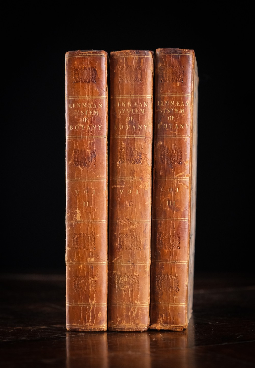 1816 The Linnaean System Of Botany. First Edition. Book Set.  View II