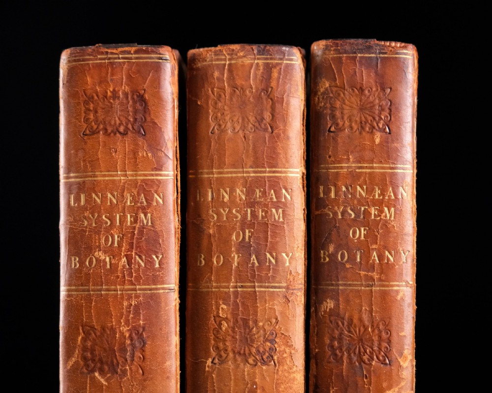 1816 The Linnaean System Of Botany. First Edition. Book Set.  View III