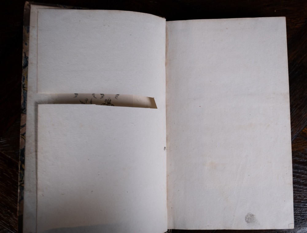 1816 The Linnaean System Of Botany. First Edition. Book Set.  View IX