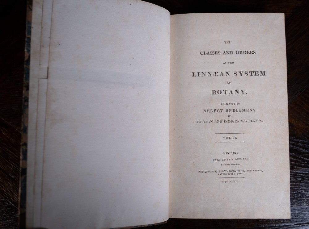 1816 The Linnaean System Of Botany. First Edition. Book Set.  View XII