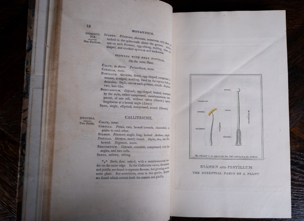 1816 The Linnaean System Of Botany. First Edition. Book Set.  View XIV