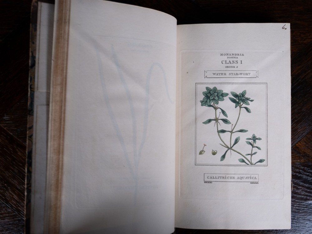 1816 The Linnaean System Of Botany. First Edition. Book Set.  View XVII