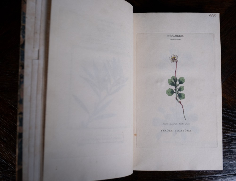 1816 The Linnaean System Of Botany. First Edition. Book Set.  View XIX